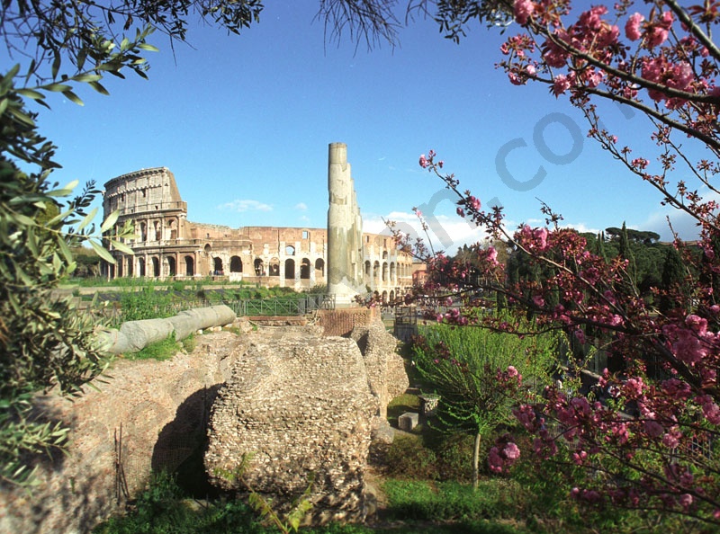  Colosseum a Fórum felől