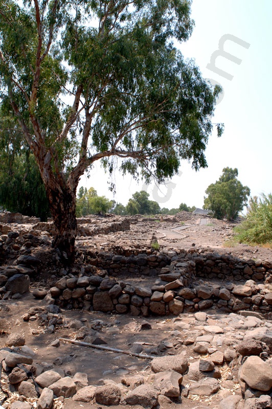 Tel-Bethsaida