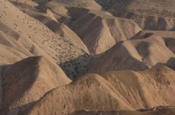 Júdeai sivatag
