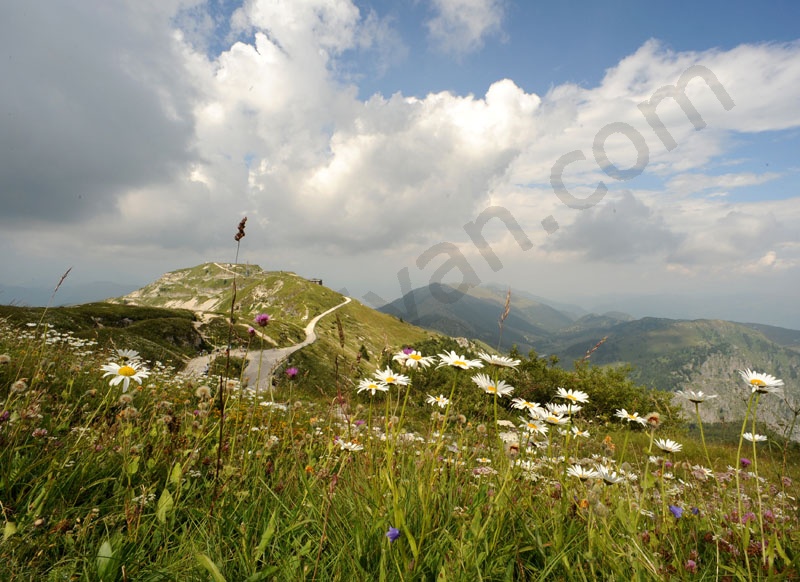 Monte Grapa        