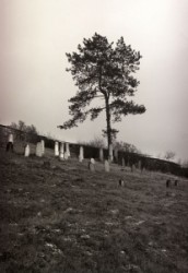         Szendrő zsidó temető                        