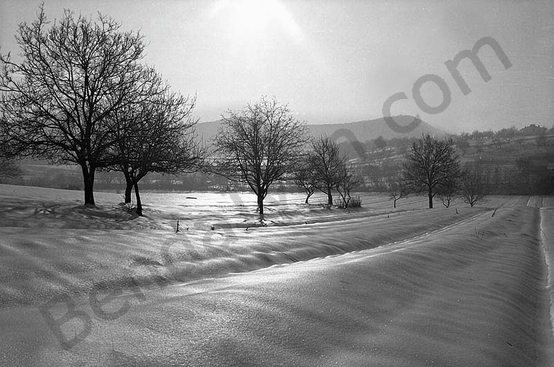 A landscape is winter beside Solymár.