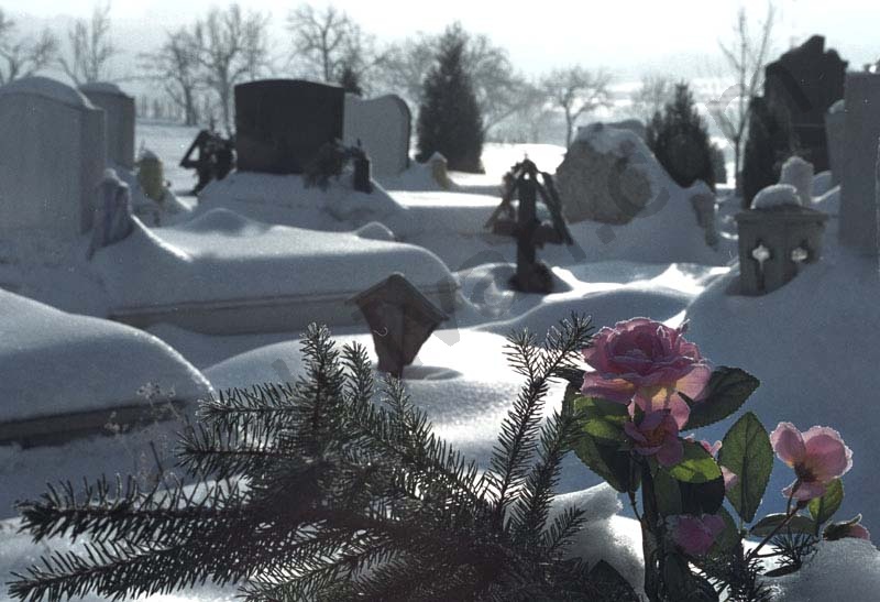 A landscape is winter beside Solymár.