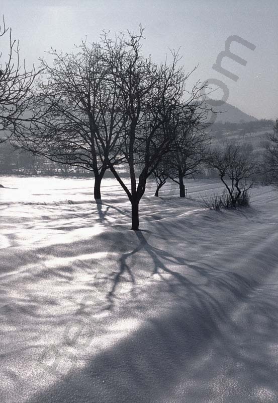 A landscape is winter beside Solymár.