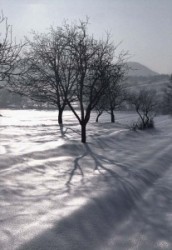 A landscape is winter beside Solymár.