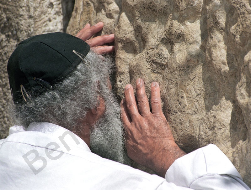 A siratófalnál, vagy ahogy a zsidók mondják a kótelnél, kipával a fején imádkozó ortodox zsidó férfi megszokott látvány. Az itt látható idős ember, szinte eggyé vált a siratófal több ezer éves kövével