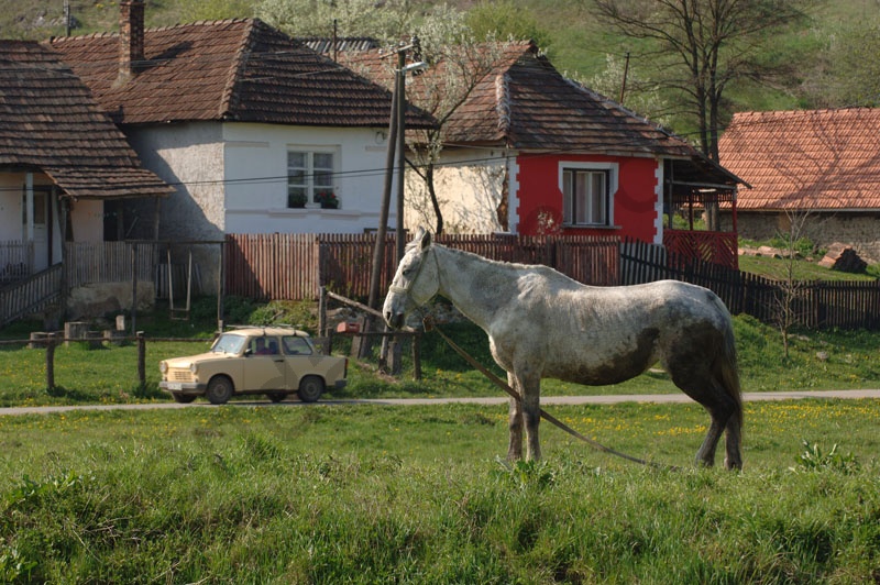       Árok partján legelésző ló. A földúton öreg trabant poroszkál. A faléces kerítések mögött hol fehér, hol színes ház látható.                                                                       